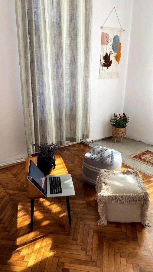 Apartament Istoric Ultracentral - With Parking 锡比乌 外观 照片