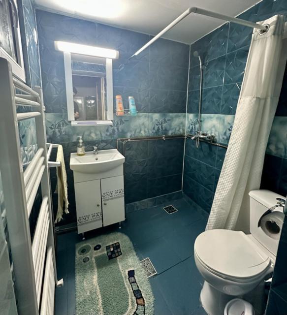 Apartament Istoric Ultracentral - With Parking 锡比乌 外观 照片